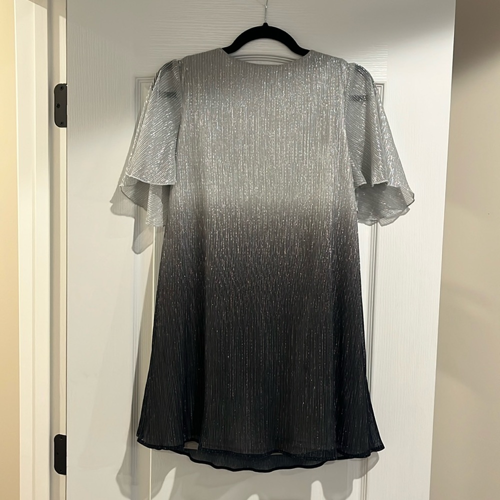 Show Me Your MuMu Silver Metallic Dress